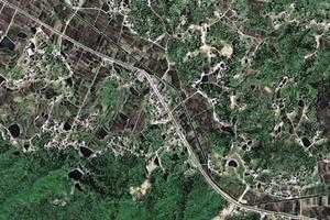 杨林乡卫星地图-湖南省湘潭市韶山市杨林乡、村地图浏览
