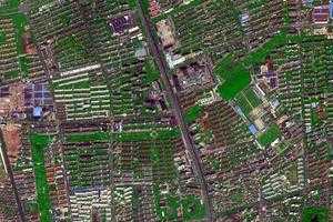 庙行镇卫星地图-上海市宝山区宝山城市工业园区、村地图浏览