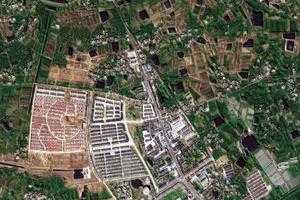 谢集乡卫星地图-江苏省扬州市仪征市原种场、村地图浏览