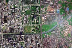立新农场卫星地图-江苏省扬州市江都区立新农场地图浏览