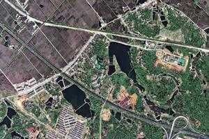 金洲乡卫星地图-湖南省长沙市宁乡市金洲乡、村地图浏览