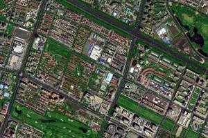 开发区卫星地图-天津市滨海新区塘沽街道地图浏览
