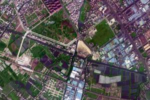 兆龙社区卫星地图-广东省中山市东升镇白鲤村地图浏览
