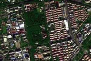 石化卫星地图-上海市金山区金山工业区地图浏览