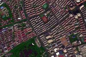 延吉新村卫星地图-上海市延吉新村街道地图浏览