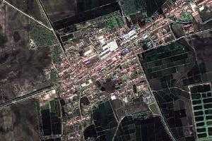 胜利蒙古族乡卫星地图-黑龙江省齐齐哈尔市泰来县葡萄场、村地图浏览