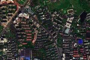 桂花衛星地圖-湖南省株洲市荷塘區桂花街道地圖瀏覽