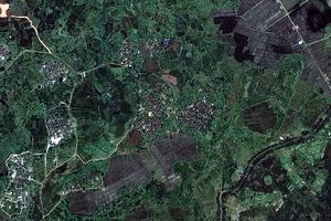 李坊村卫星地图-海南省儋州市木棠镇高堂村地图浏览