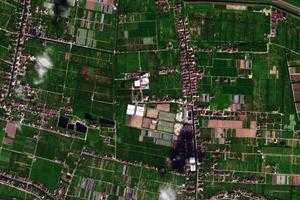 长兴镇卫星地图-上海市崇明区前卫农场、村地图浏览