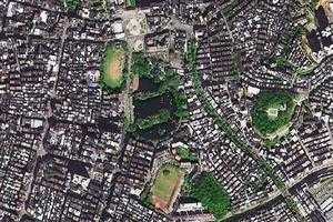 潘州衛星地圖-廣東省茂名市高州市團結農場地圖瀏覽