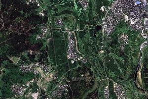 流坡村卫星地图-海南省儋州市东成镇抱舍村地图浏览