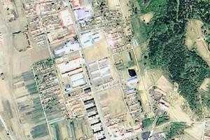 大栗子卫星地图-吉林省白山市临江市大栗子街道地图浏览