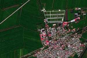 榆樹鎮衛星地圖-黑龍江省哈爾濱市道里區閆家崗農場、村地圖瀏覽