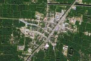 王人镇卫星地图-安徽省亳州市利辛县城北镇、村地图浏览
