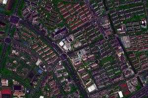 花木衛星地圖-上海市浦東新區南匯新城鎮地圖瀏覽