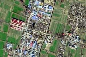 時集鎮衛星地圖-山東省聊城市時集鎮、村地圖瀏覽