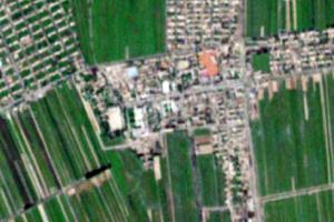 安集海鎮衛星地圖-新疆維吾爾自治區阿克蘇地區塔城地區沙灣縣良種場、村地圖瀏覽