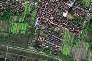 雙柳衛星地圖-湖北省武漢市新洲區道觀河風景旅遊管理處地圖瀏覽
