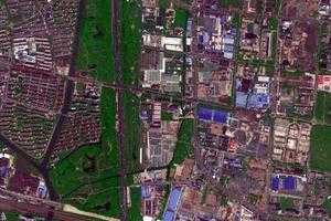桃浦镇卫星地图-上海市普陀区万里街道、村地图浏览