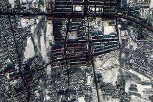 賓西鎮衛星地圖-黑龍江省哈爾濱市賓縣九龍山柞蠶育種場、村地圖瀏覽