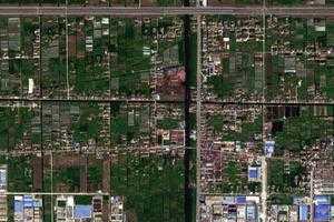 新海镇卫星地图-上海市崇明区前卫农场、村地图浏览