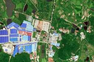 郑店卫星地图-湖北省武汉市江夏区金水街道地图浏览