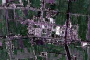 賽力鄉衛星地圖-新疆維吾爾自治區阿克蘇地區喀什地區澤普縣澤普縣依瑪鄉、村地圖瀏覽