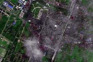新河鎮衛星地圖-上海市崇明區前衛農場、村地圖瀏覽