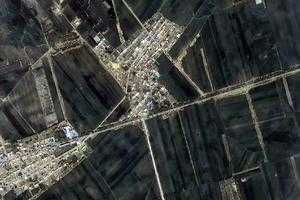 德順蒙古族鄉衛星地圖-吉林省白城市洮北區鎮南種羊場、村地圖瀏覽