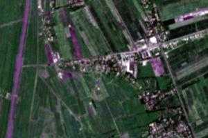 昂格特勒克乡卫星地图-新疆维吾尔自治区阿克苏地区喀什地区麦盖提县胡杨林场、村地图浏览