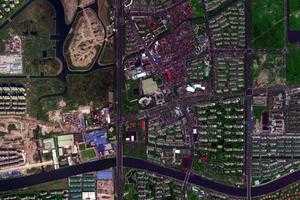 高行镇卫星地图-上海市浦东新区南汇新城镇、村地图浏览