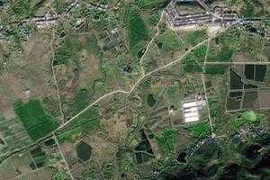 厚壩鎮衛星地圖-重慶市厚壩鎮、村地圖瀏覽