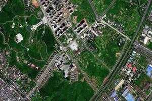 柴桑区卫星地图-江西省九江市柴桑区地图浏览