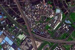 中南卫星地图-广东省广州市荔湾区茶蚪值地图浏览