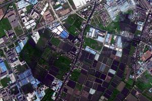 白鲤村卫星地图-广东省中山市东升镇白鲤村地图浏览