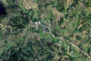新河乡卫星地图-四川省南充市蓬安县周口街道、村地图浏览
