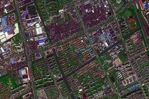 杨行镇卫星地图-上海市宝山区宝山城市工业园区、村地图浏览