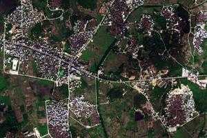 華湖鎮衛星地圖-廣東省揭陽市惠來縣東埔農場、村地圖瀏覽