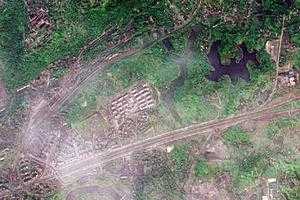 和平鄉衛星地圖-四川省自貢市大安區和平鄉、村地圖瀏覽