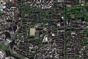 河東衛星地圖-廣東省茂名市茂南區羊角鎮地圖瀏覽