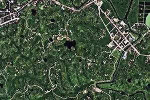 碧山镇卫星地图-重庆市梁平区星桥镇、村地图浏览