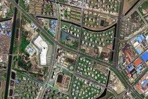 辛庄镇卫星地图-天津市津南区双新街道、村地图浏览