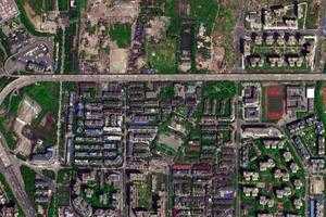 青龍衛星地圖-四川省成都市成華區白蓮池街道地圖瀏覽