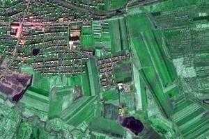 铁力农场卫星地图-黑龙江省伊春市铁力市神树镇地图浏览