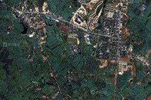 鹿母湾林场生活区卫星地图
