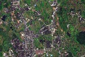 塘村卫星地图