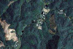 景洪农场卫星地图