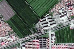 汉沽管理区兴农街道卫星地图