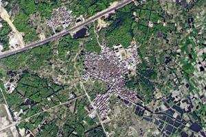 樟塘衛星地圖