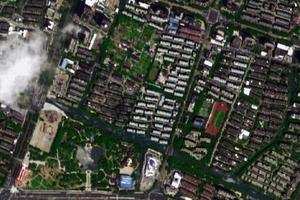 东柳卫星地图